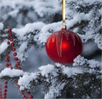 Xmas Red Ball