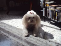 Posando...