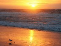 sunrise 12/22/11