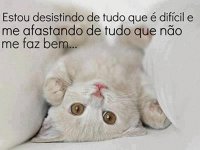 Fofinhooooo