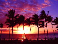 Hawaiian sunset Maui Island