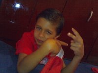 gatinho