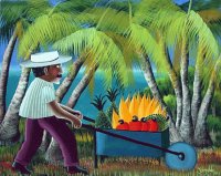 Fruit from the fields by Ivonaldo Veloso de Melo