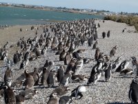 Cerca de puerto San Julián. Patagonia Argentina