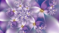 Violet-Flowers