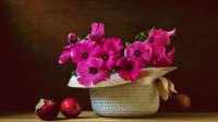 flores