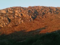 View Album