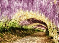 spring-101