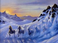 avalanche de cavalos