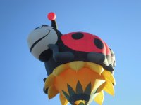 Hot air ballon
