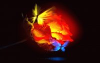 color