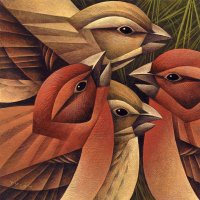 Birds by Sara Tyson