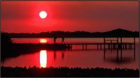 PN Río Pilcomayo. Formosa. Argentina