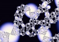 fractal