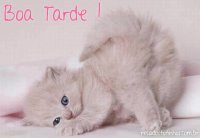 Lindoooooooooo