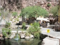 Termas de Fiambalá. Catamarca. Argentina