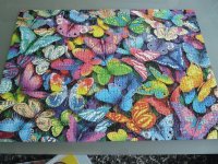 COLAGE DE MARIPOSAS