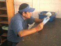 muchacho trabajador