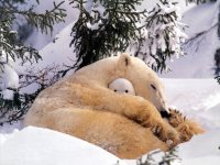 MAMA Y BEBE