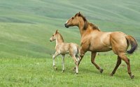 MAMA Y BEBE 1