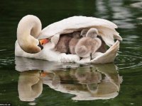 MAMA Y BEBE 2