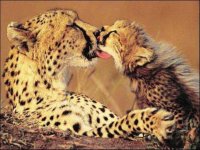 MAMA Y BEBE 4