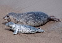 MAMA Y BEBE 6