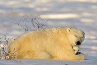 MAMA Y BEBE 8