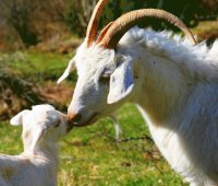 MAMA Y BEBE 9