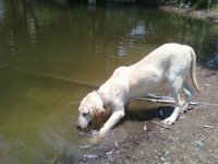En el ojo de agua