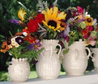 Flowers in vases