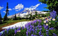 Natureza