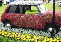 auto