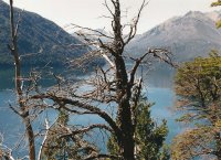 Lago Mascardi. Provincia de Río Negro. Argentina
