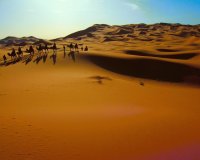 DESIERTO
