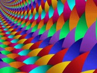 mucho color