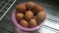 Huevos