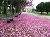 parque da redenção-porto alegre