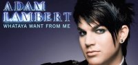Adam Lambert Whataya Want From Me Wallpaper