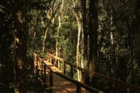 Cerca de los Saltos del Moconá. Misiones. Argentina