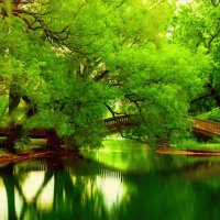 Verde, te quiero verde.