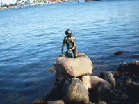 little mermaid