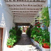 España siglo XXI, La Alpujarra