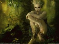 Fadas, duendes e ninfas.