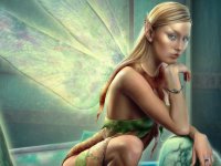 Fadas, duendes e ninfas.