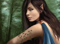 Fadas, duendes e ninfas.