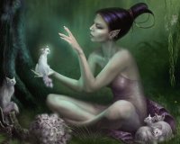 Fadas, duendes e ninfas.
