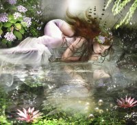 Fadas, duendes e ninfas.