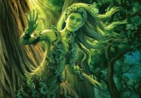 Fadas, duendes e ninfas.