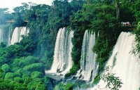 PN Iguazú. Misiones. Argentina